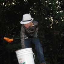 Putting mulch into buckets